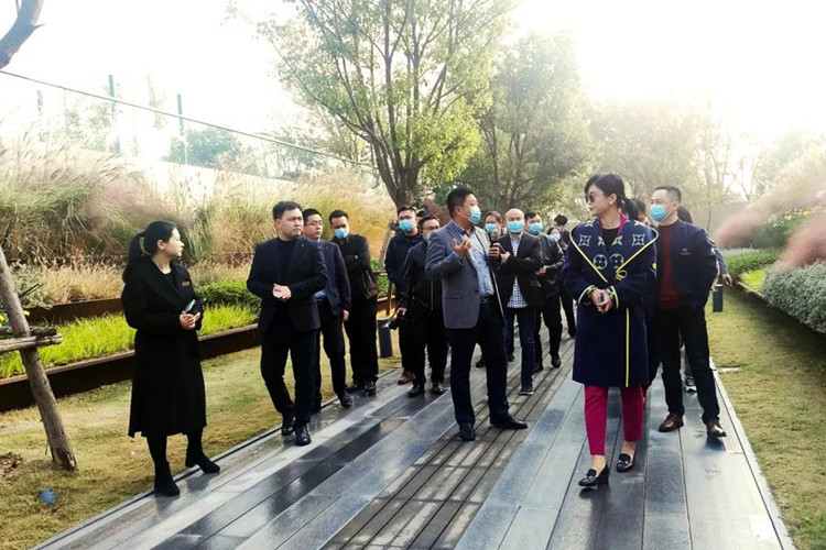 16122507946514.jpg 1.jpg